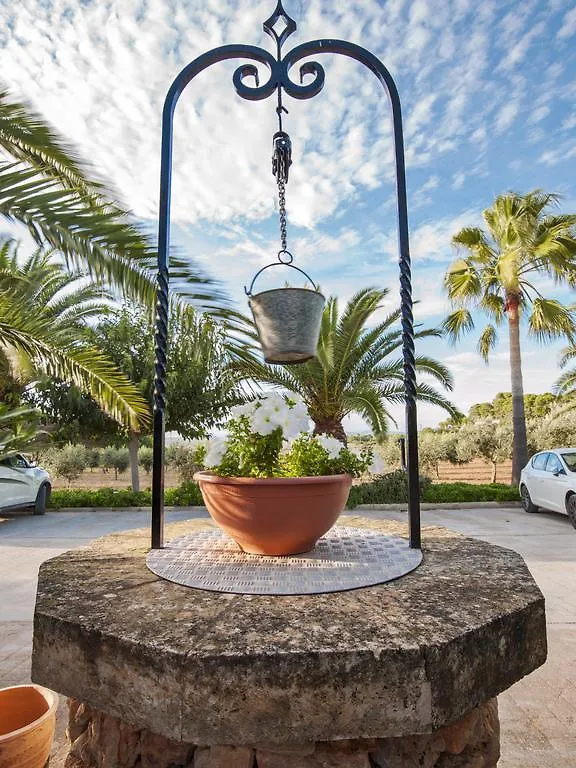 Ses Rotes Velles - Petit Hotel Ses Salines  Spain